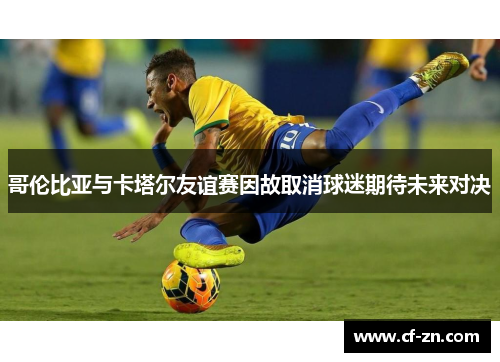 哥伦比亚与卡塔尔友谊赛因故取消球迷期待未来对决